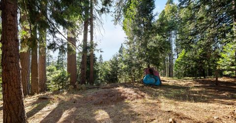 4944 Steelhead Ln, Pollock Pines, CA 95726 Photo