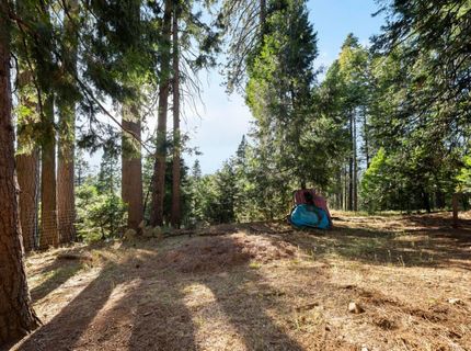 4944 Steelhead Ln, Pollock Pines, CA 95726 Photo