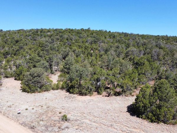 Mountain Valley Drive , Edgewood, NM 87015