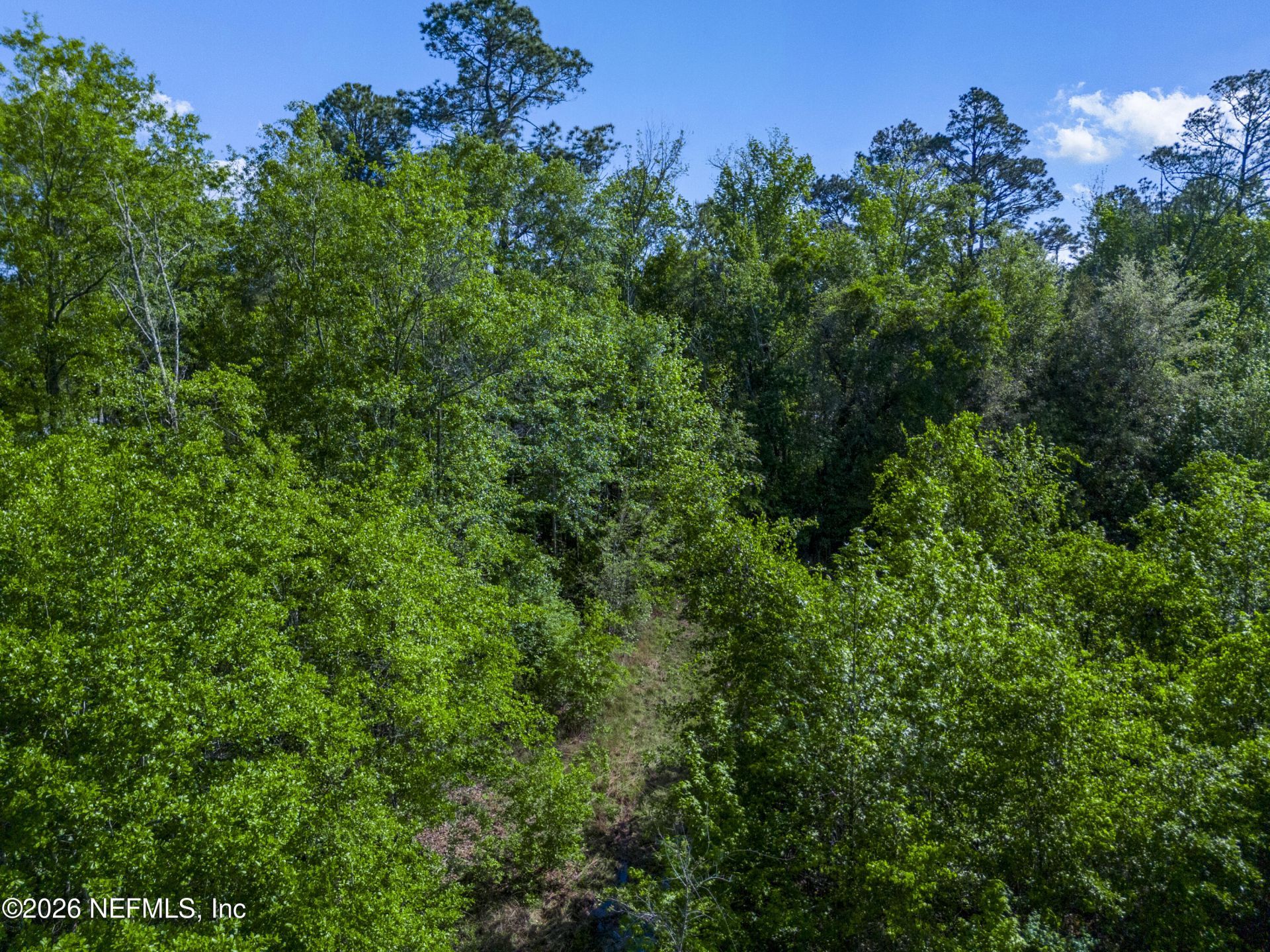 000 Sr 121, Raiford, FL 32083 Photo