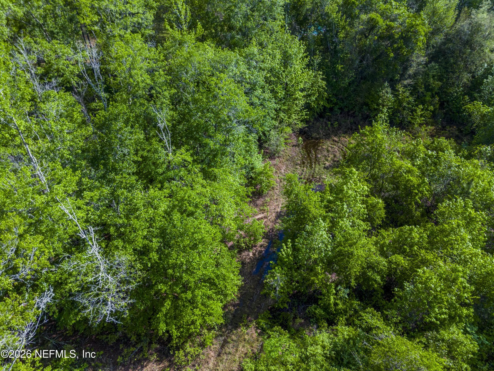 000 Sr 121, Raiford, FL 32083 Photo