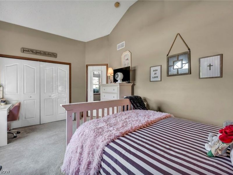880 Shadow Creek Trail, Amherst, OH 44001 Photo 29