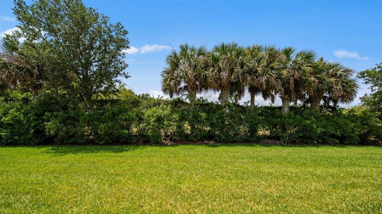 11540 Verandah Palm Court , Fort Myers, FL 33905 Photo