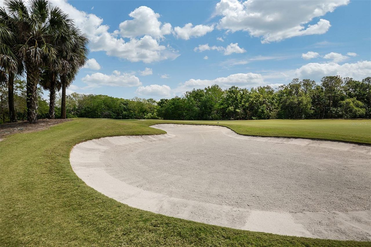 11540 Verandah Palm Court , Fort Myers, FL 33905 Photo