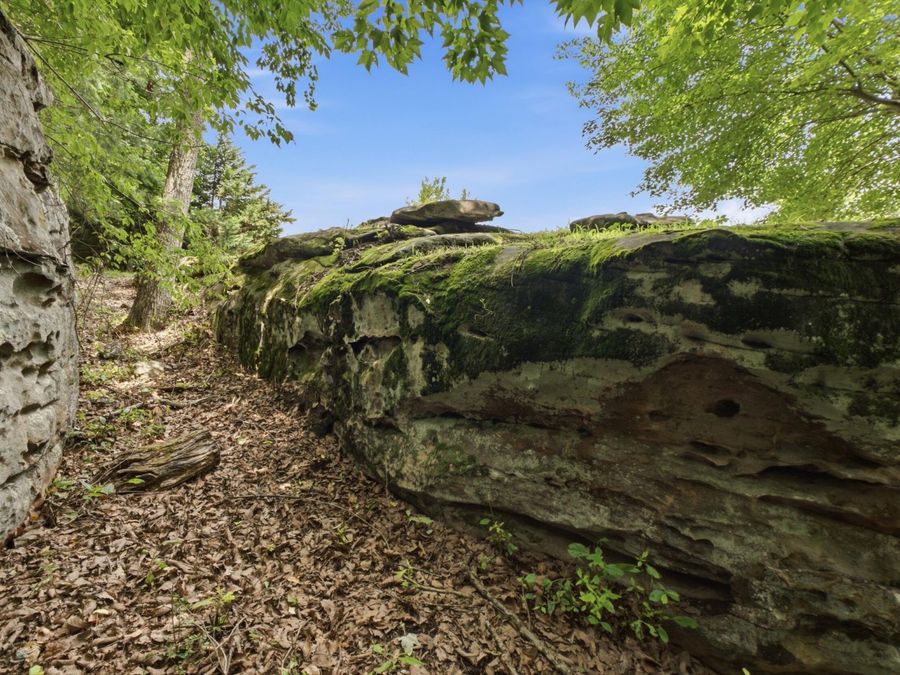 Property Image 69