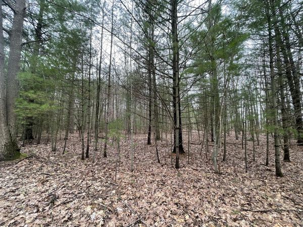 N Schoenherr Road, Free Soil, MI 49411