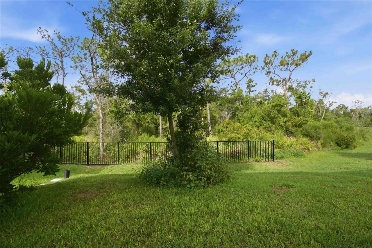 13961 Lilac Sky Terrace, Bradenton, FL 34211 Photo