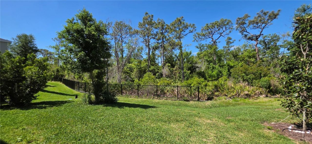 13961 Lilac Sky Terrace, Bradenton, FL 34211 Photo
