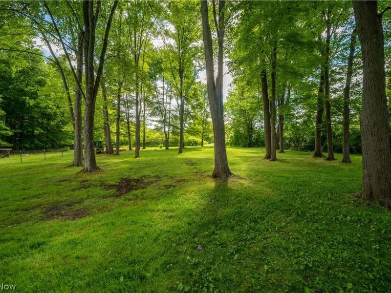 1227 N Pricetown Road, Diamond, OH 44412 Photo 12