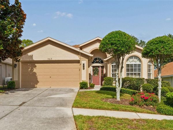 363 QUANE AVENUE, SPRING HILL, FL 34609