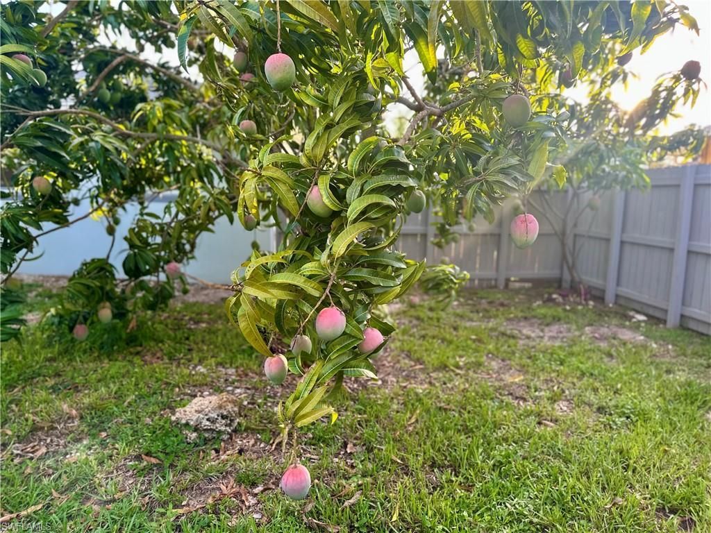 1495 Cranville Sq, Fort Myers, FL 33919 Photo