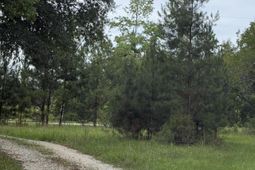 00 State Road photo 4