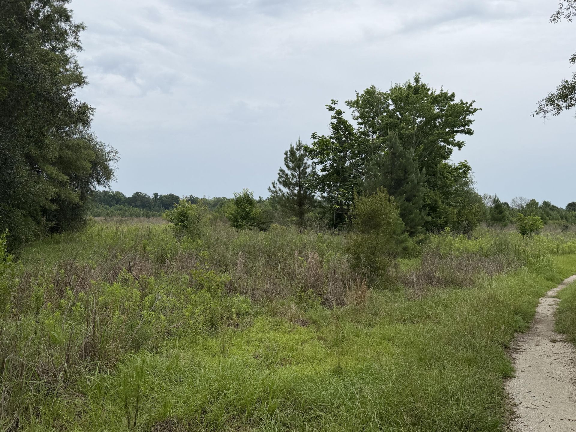 00 State Road Photo 4