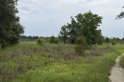 00 State Road photo 4