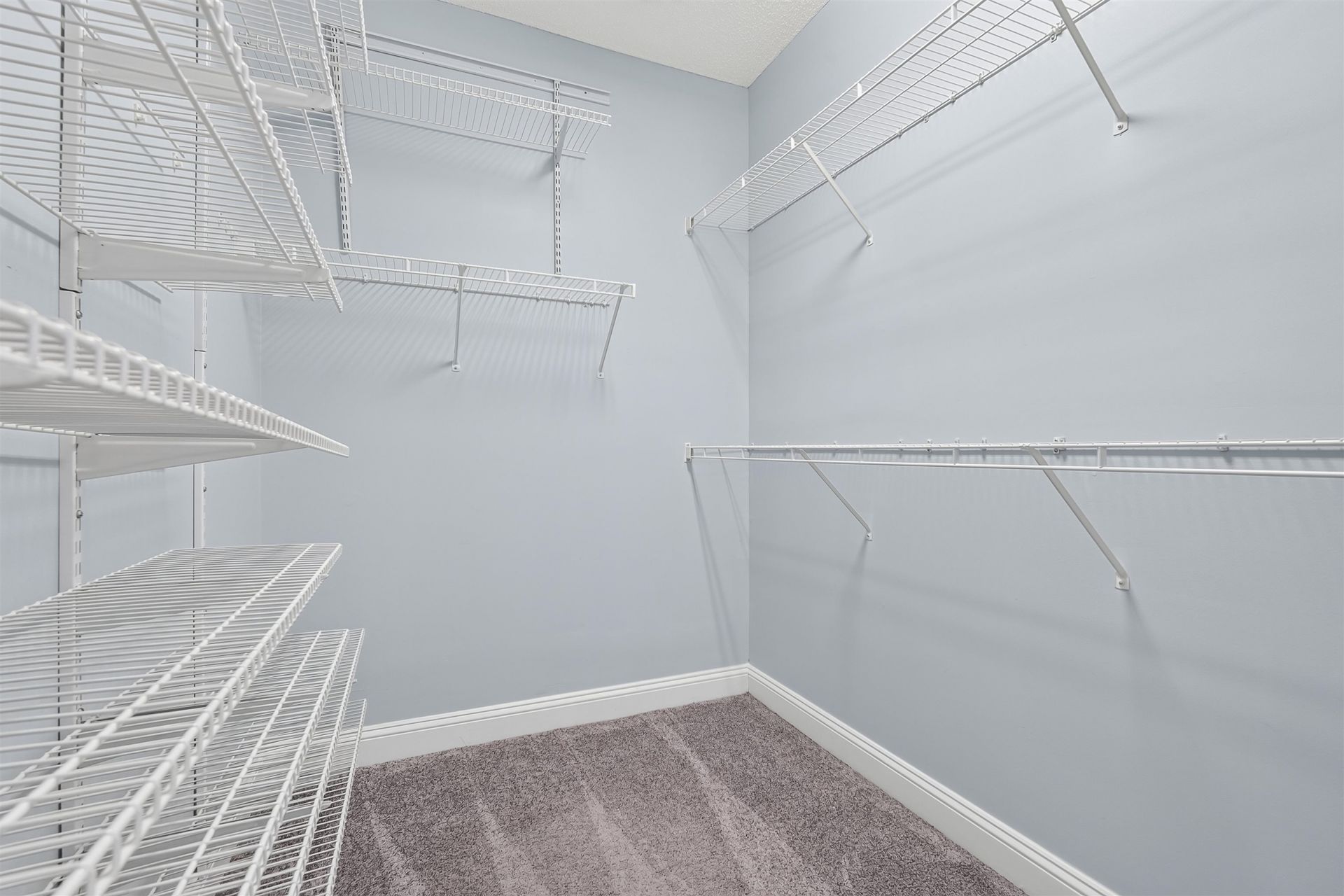 5800 Spotted Owl Landing  Photo 19
