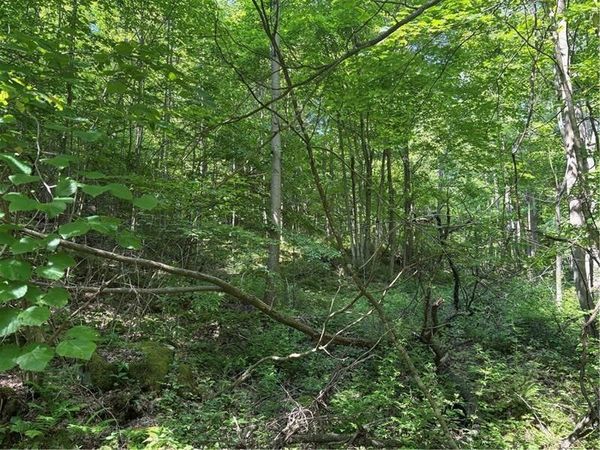 000 Fowl Hill Rd , Melcroft, PA 15462