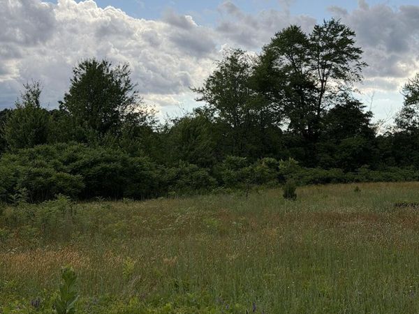 390 S Arent Road, Watervliet, MI 49098