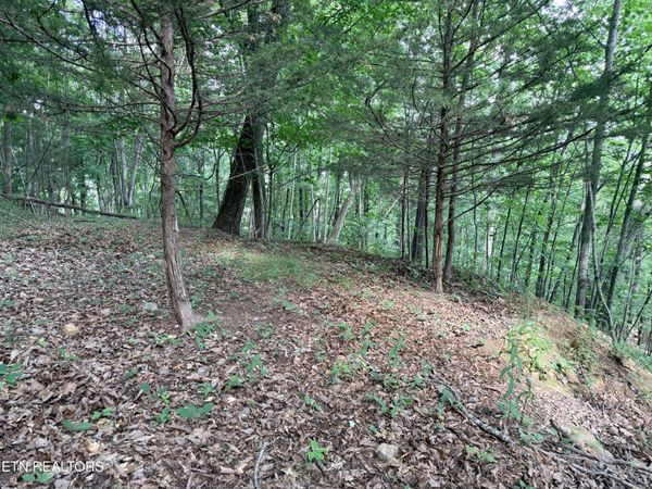 Lot 188 Chimney Rock Rd, New Tazewell, TN 37825