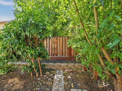 566 W Bonaventure Ave, Mountain House, CA 95391 Photo