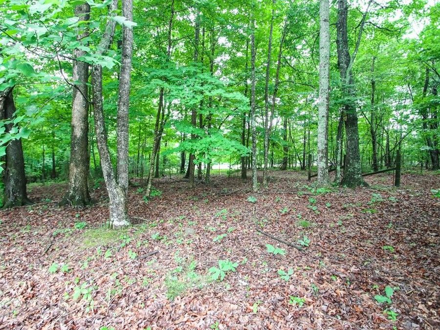 Property Image 33