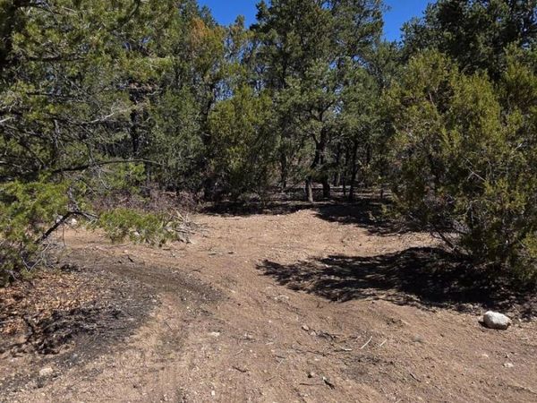 Chico Road , Unit R015120, Edgewood, NM 87015