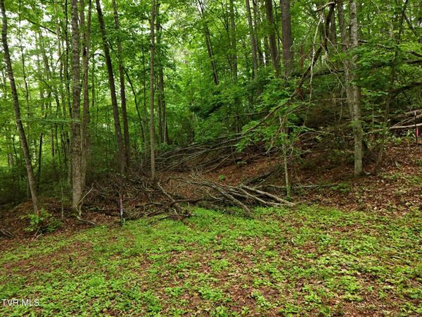 Tbd Willow Lane, Greeneville, TN 37743
