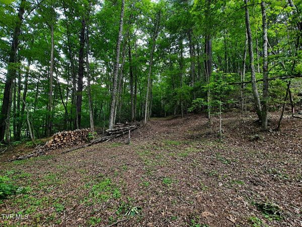 Tbd Willow Lane, Greeneville, TN 37743