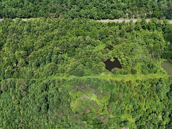 1444 Beech Creek Road, Rogersville, TN 37857