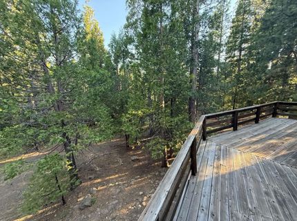1690 Silver Fox Road, Clio, CA 00000 Photo