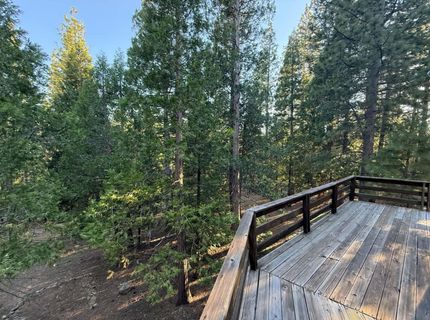 1690 Silver Fox Road, Clio, CA 00000 Photo