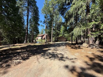 1690 Silver Fox Road, Clio, CA 00000 Photo