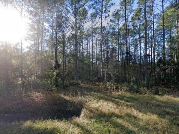 9930 CROTTY AVENUE , HASTINGS, FL 32145