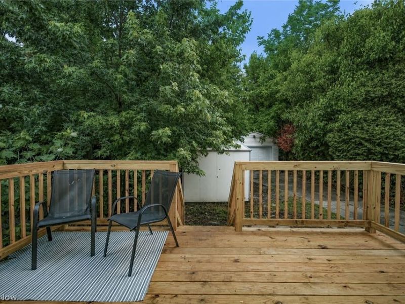 3916 Mapledale Avenue, Cleveland, OH 44109 Photo 2