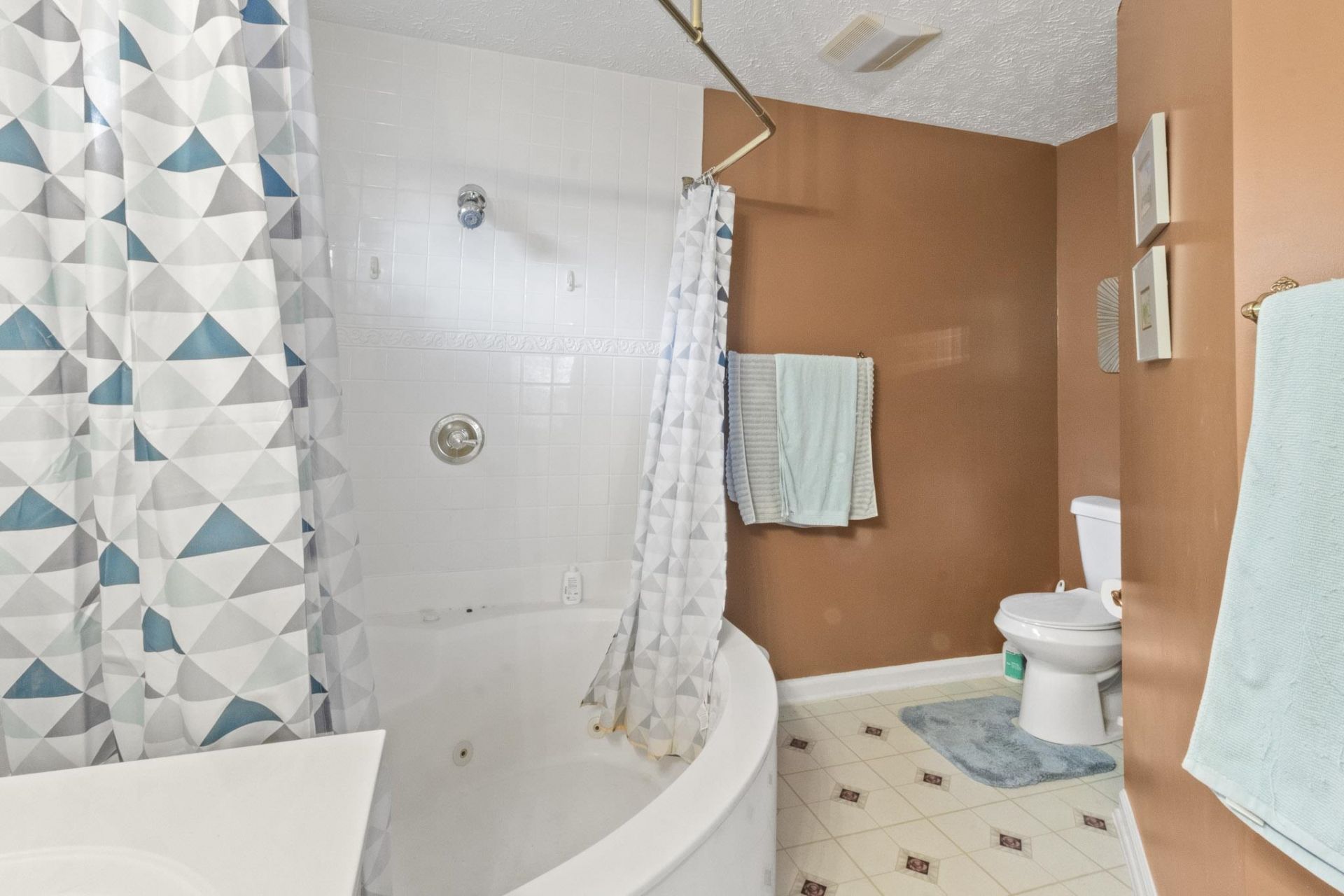619 Blackstone Dr. Photo 27