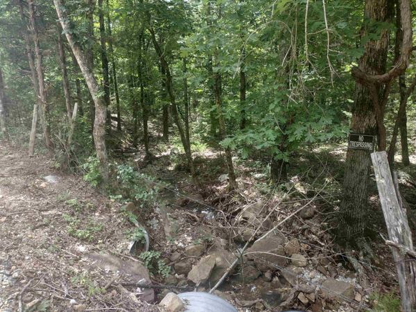 483 Mcintire ln , Mountain View, AR 72560