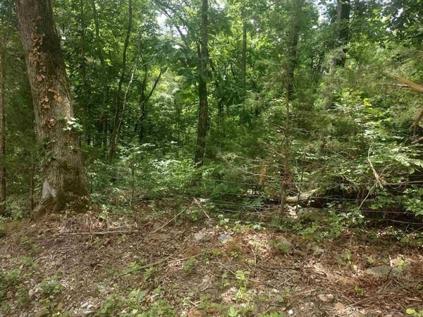 483 Mcintire ln , Mountain View, AR 72560