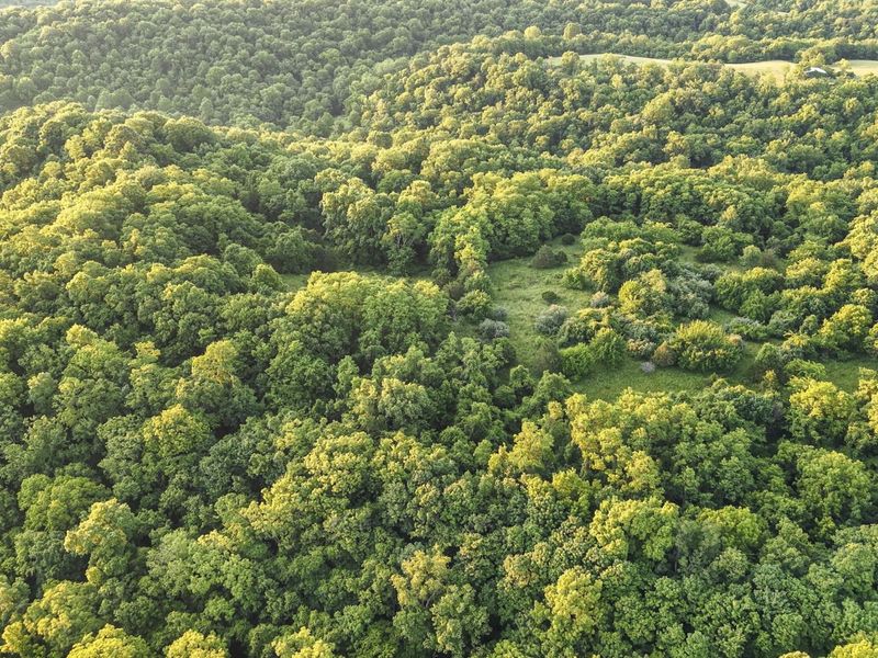 480 Ac Dietrich Road, Dover, KY 41034 Photo 10