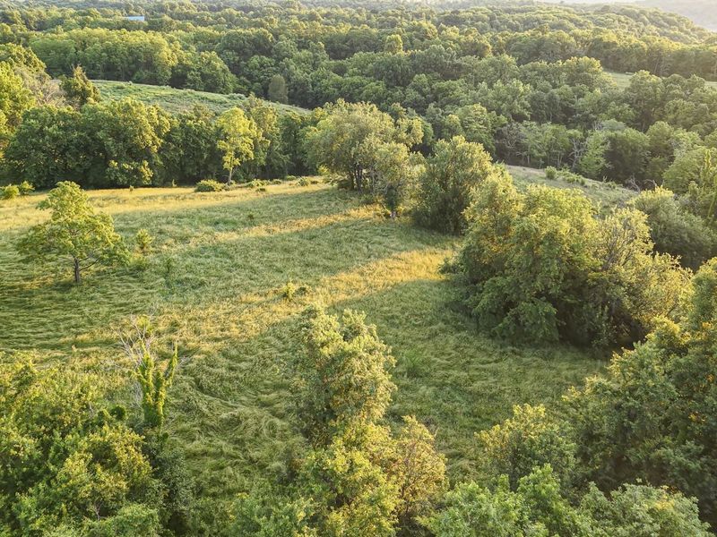 480 Ac Dietrich Road, Dover, KY 41034 Photo 11