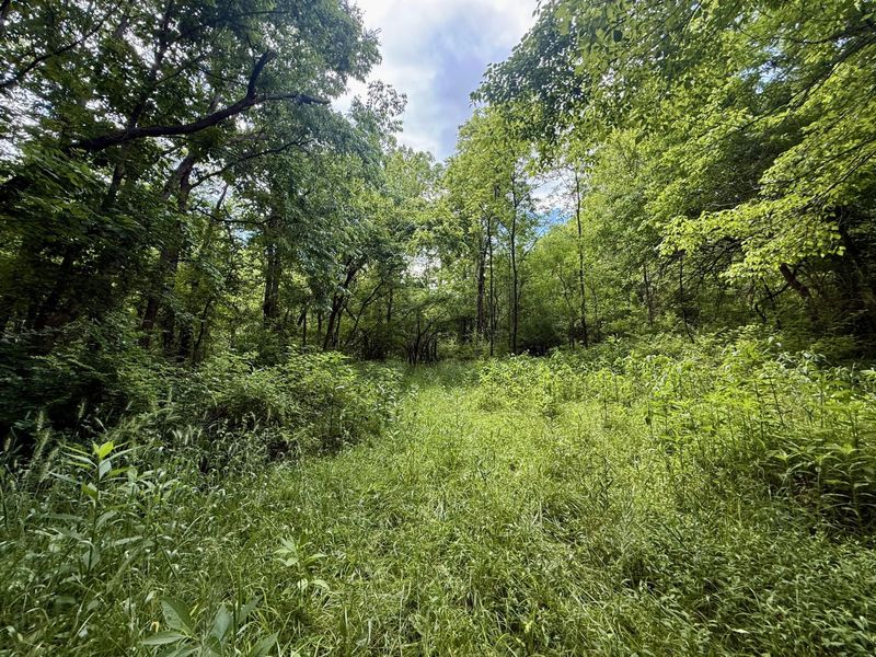 480 Ac Dietrich Road, Dover, KY 41034 Photo 13