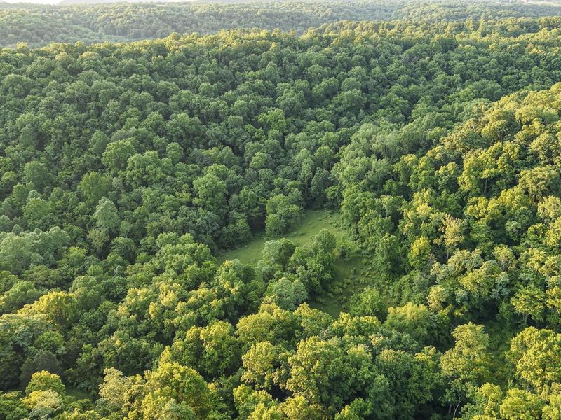 480 Ac Dietrich Road, Dover, KY 41034 Photo 16