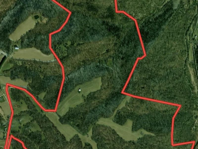 480 Ac Dietrich Road, Dover, KY 41034 Photo 2