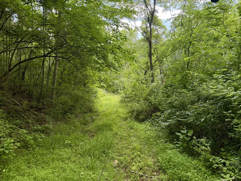 480 Ac Dietrich Road, Dover, KY 41034 Photo 20