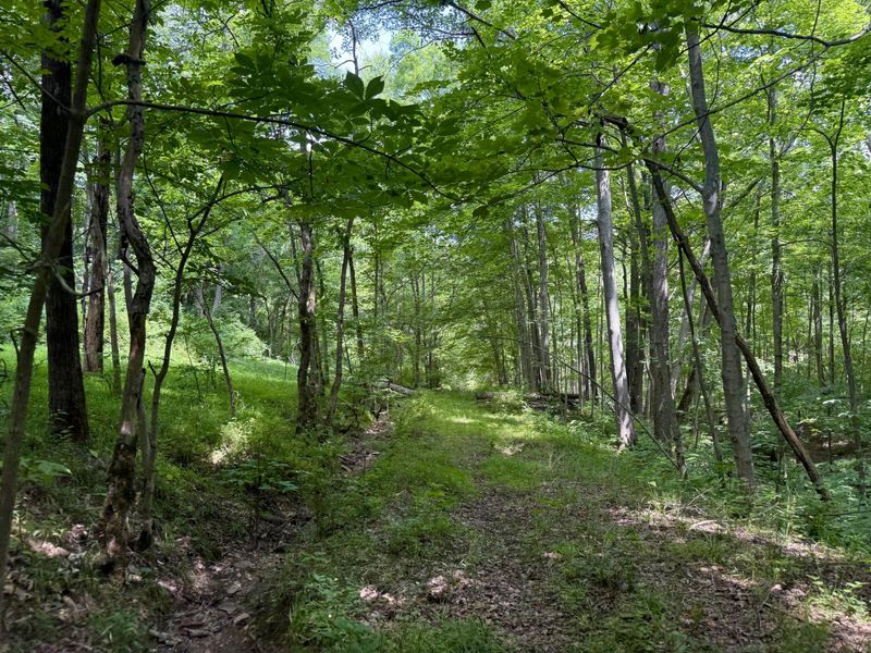 480 Ac Dietrich Road, Dover, KY 41034 Photo 21