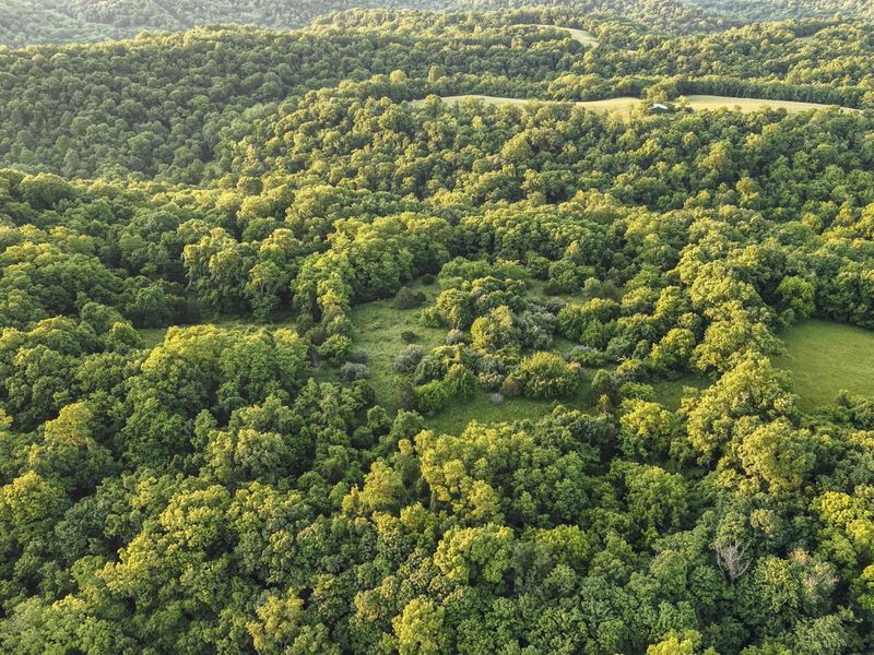 480 Ac Dietrich Road, Dover, KY 41034 Photo 22