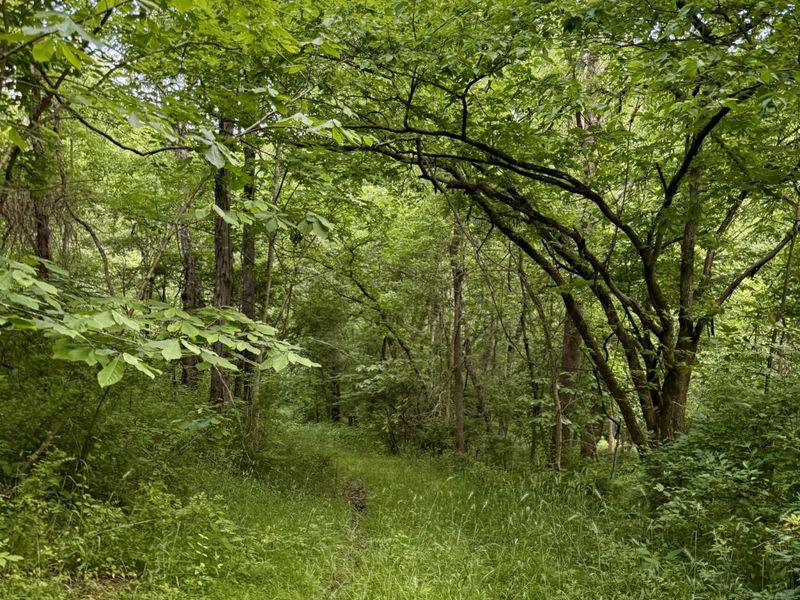 480 Ac Dietrich Road, Dover, KY 41034 Photo 23