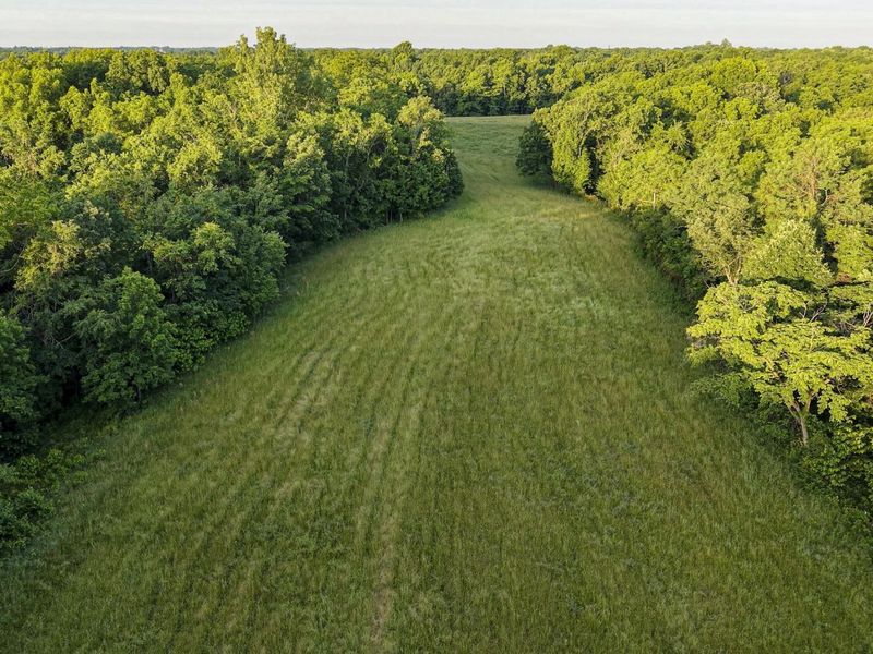 480 Ac Dietrich Road, Dover, KY 41034 Photo 27
