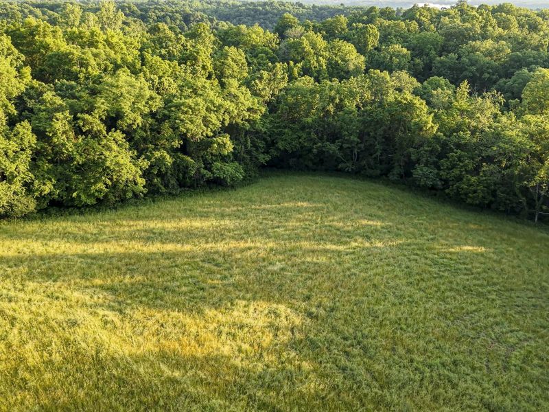 480 Ac Dietrich Road, Dover, KY 41034 Photo 28