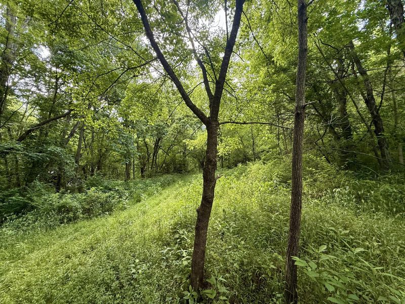 480 Ac Dietrich Road, Dover, KY 41034 Photo 29