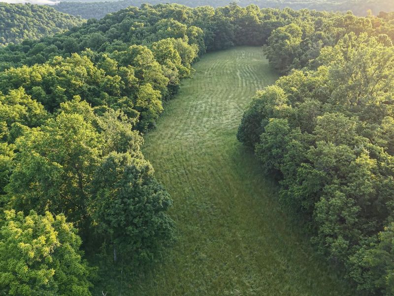 480 Ac Dietrich Road, Dover, KY 41034 Photo 30