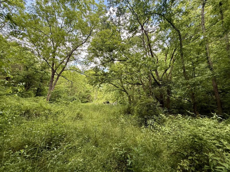 480 Ac Dietrich Road, Dover, KY 41034 Photo 32